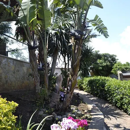 Bed & Breakfast Ciambra Altofonte